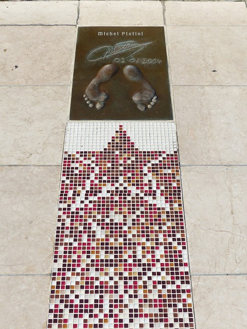 榜眼薩爾的 榜眼薩爾的