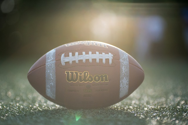 美国南部边 美国南部边