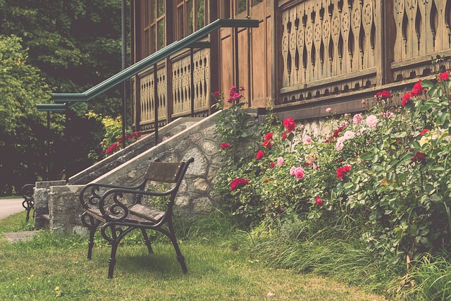 顽强与执着 顽强与执着