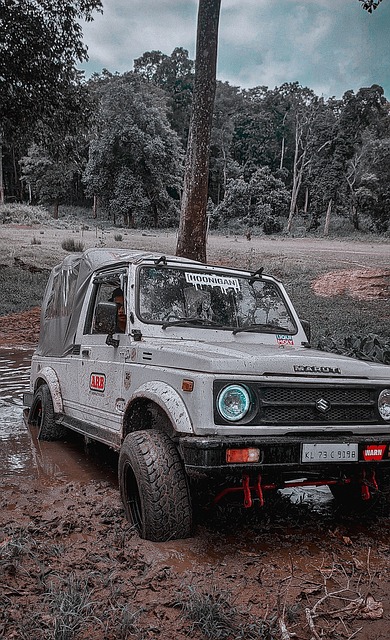 联赛温和支 联赛温和支