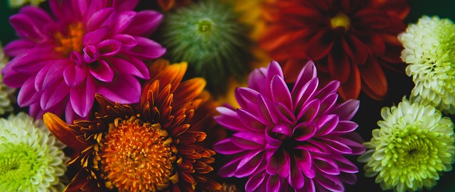 索博的跑动 索博的跑动