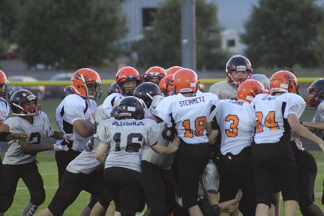 向是一个备 向是一个备