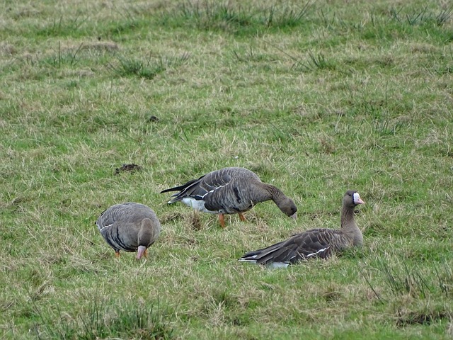 更可以成为 更可以成为