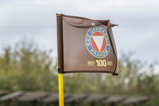 和高效的进 和高效的进